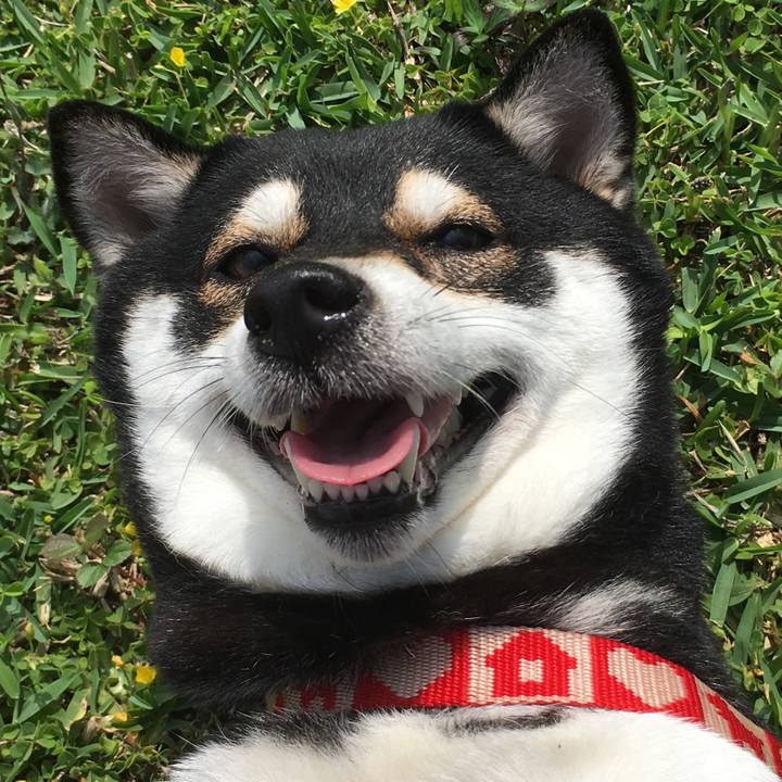 14abe4a7 eb69 40ae b804 9f2591e185e7