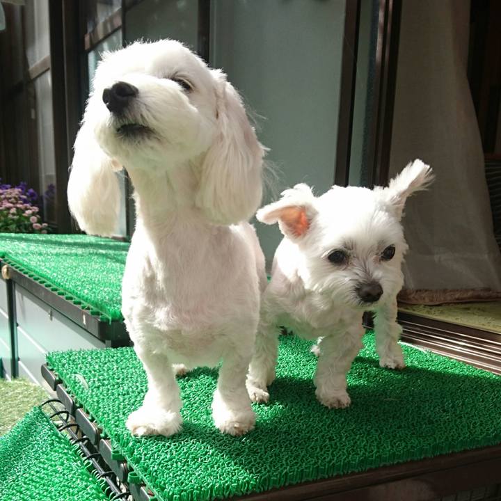 14ac1363 858c 44ba 9577 059b276e772e