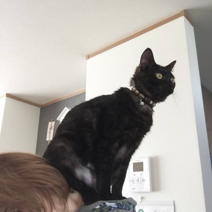 14ac2cb3 ed0c 4b48 a6f3 3ca702716150