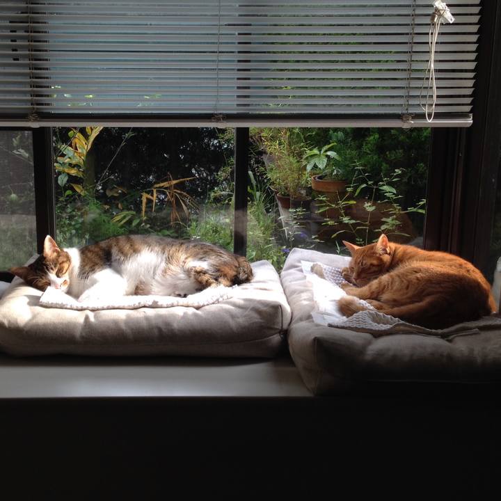 14ac3515 cba8 4199 9764 358e5ff57e8a