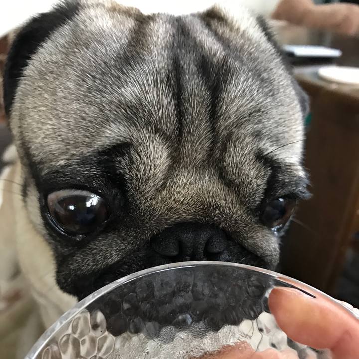 14ac7743 a2c6 47a9 9311 44970609dcec