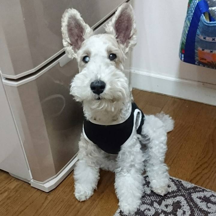 14aca4e5 dbfb 4cbe 9462 26d6e499e5aa