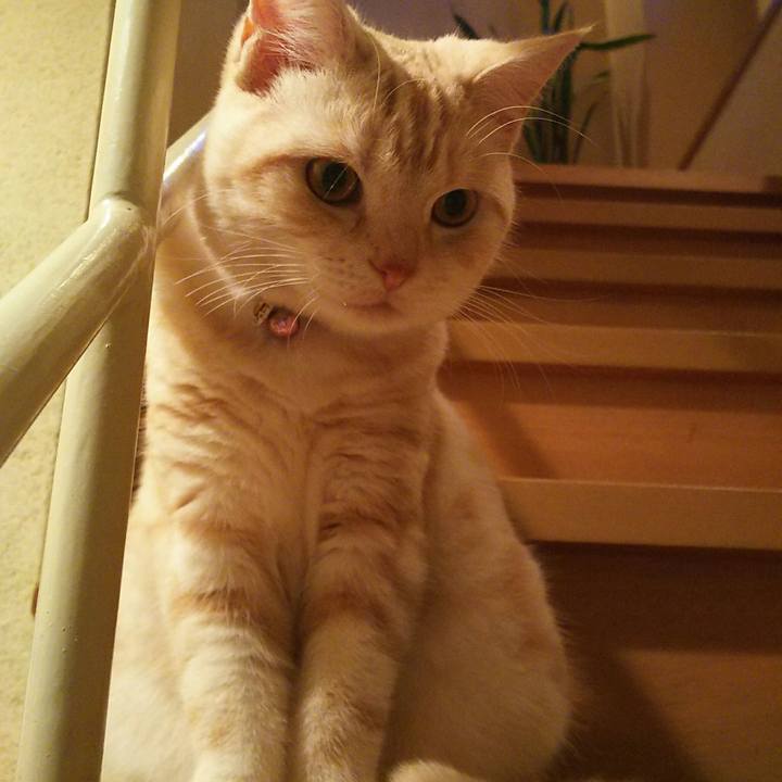 14ad3616 e86f 404b af08 e169c1d2a706