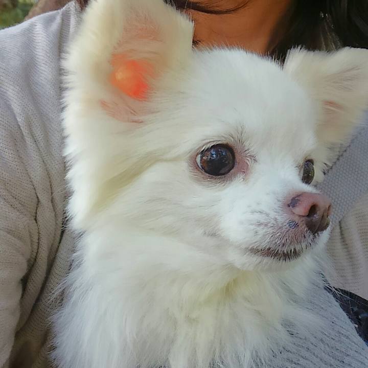 14ad4955 0e6f 402d 9744 964f9566d80b