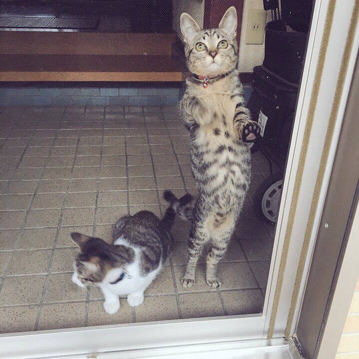 14ad5e33 f612 40b2 bb39 b22fc8cca1f6