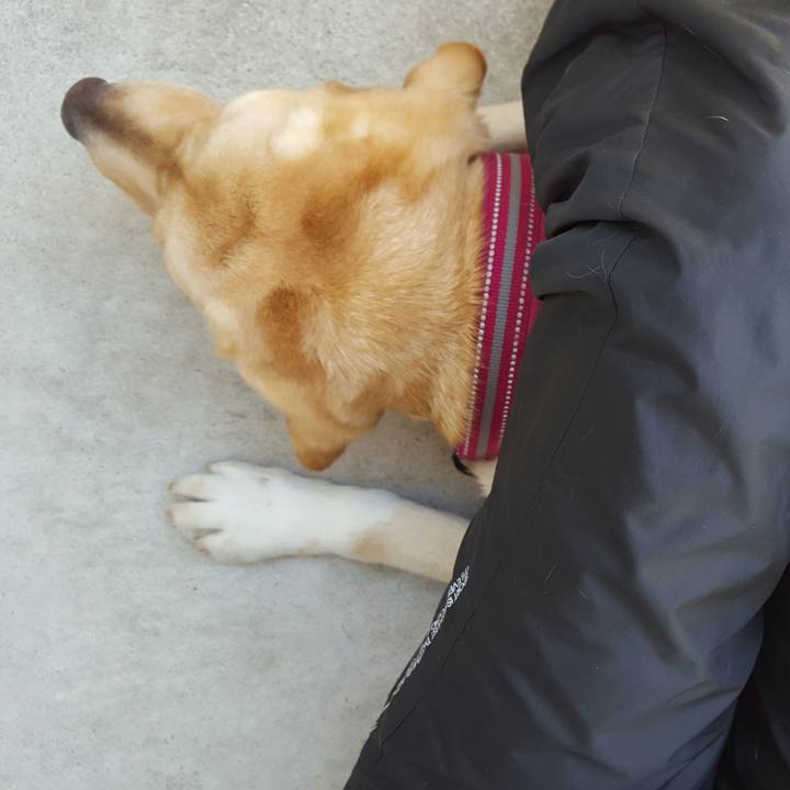 14ae5745 3f7a 4097 8439 de3ff80a6f95