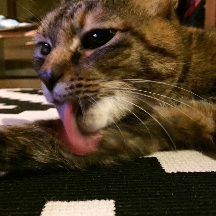 14aeb35b 67ef 4084 9873 9cf2b8c876e7