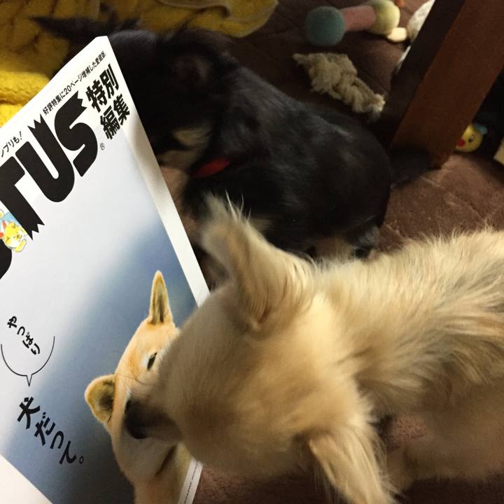 14aec975 99bd 4583 86e6 174b38a8e87d