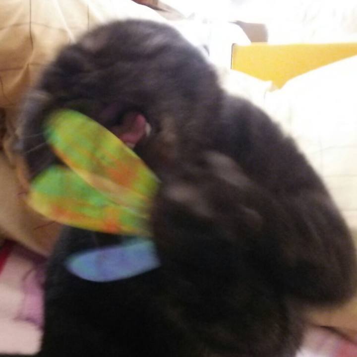 14af2853 49df 46fb 800f 39b4bfd08832