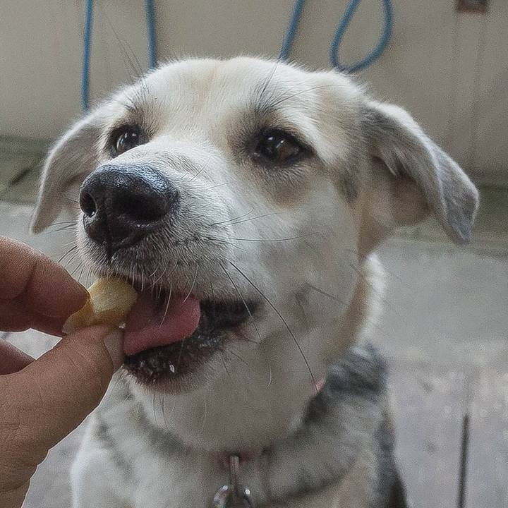 14afaced eb57 456d 9ba4 4380d310916c