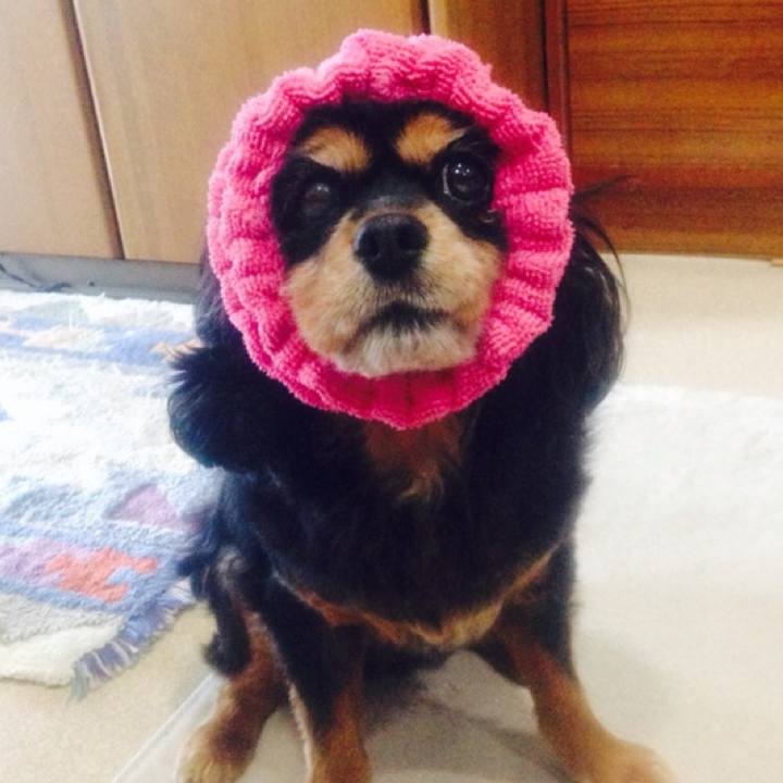 14b0d5cd fbd1 48ca 8775 4de19c9ad89b