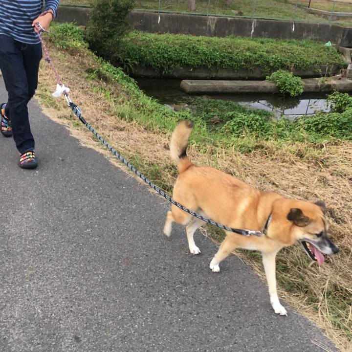 14b0e704 4e7a 4378 a2ec 50d6eabe58f8