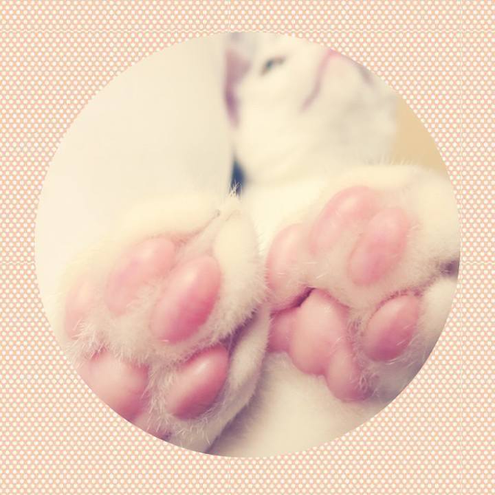 14b13097 d3a0 4955 8f0a cbd9ff5983eb