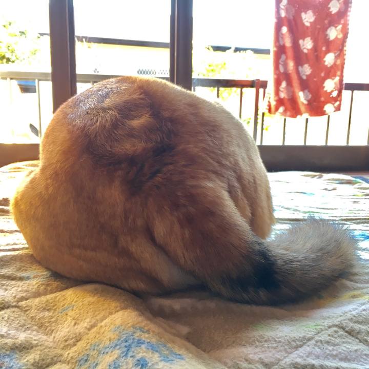 14b13c54 1df0 432d 823e a50d61957639