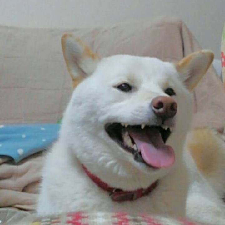 14b14f68 4bd8 4726 8a84 f629c7a12ec1