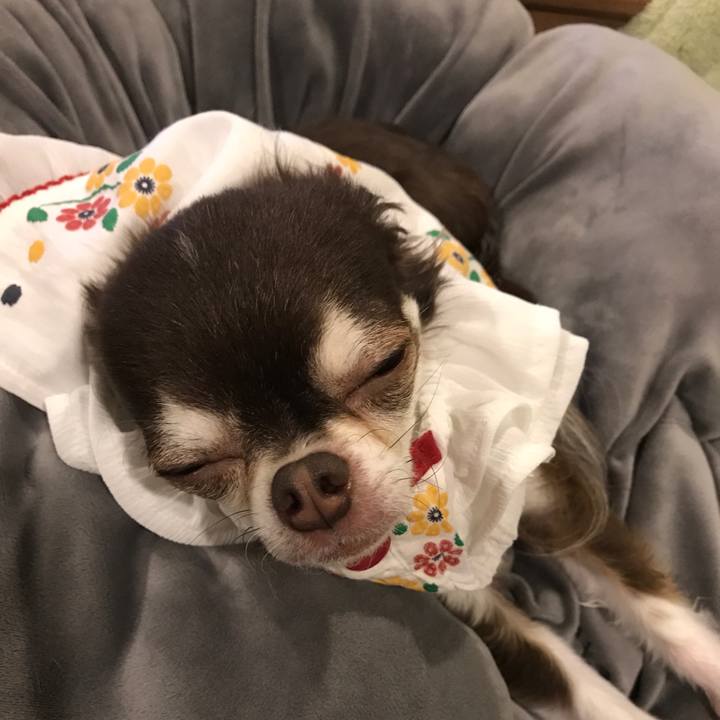 14b1d90d 6cc7 454e 81f9 149ab56181a8