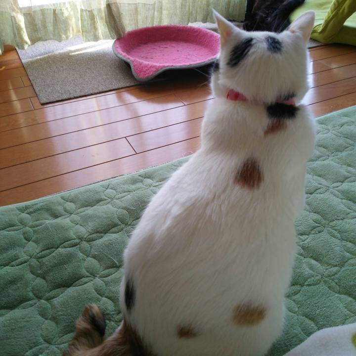 14b1df2d 294c 44aa b1bd 3158a9688f3c