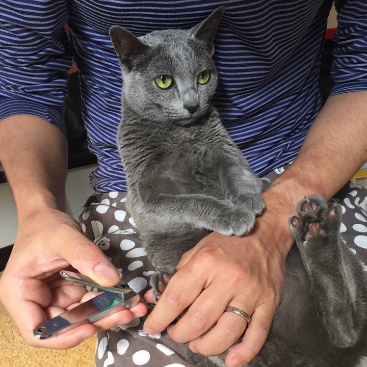 14b22e11 3a5a 46da a396 d11b9e34e63d