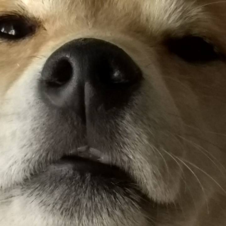 14b2bf09 861d 4629 8d09 e9979a0eb246