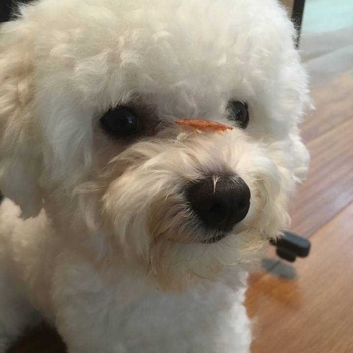 14b368e0 3919 4998 b6c7 c7ad3ea76a18