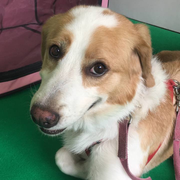 14b39851 589d 4f6c a1e2 7c98d5b4b2bf