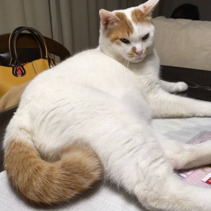 14b417e6 181e 4330 9700 00e93bcbd7af