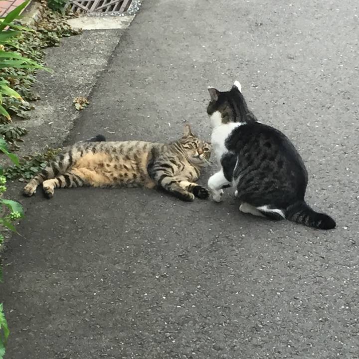 14b48435 a99c 4221 a9c6 20814b73796f