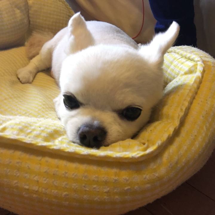 14b4c76c 26b8 4748 b26d 96e35160a5d9