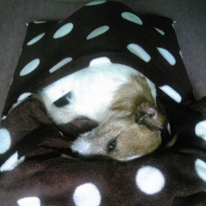 14b59f9f 4e33 4e88 9c88 422f95fcf8b9