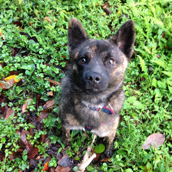 14b5e636 b3c2 4e49 beba b86379d480ec