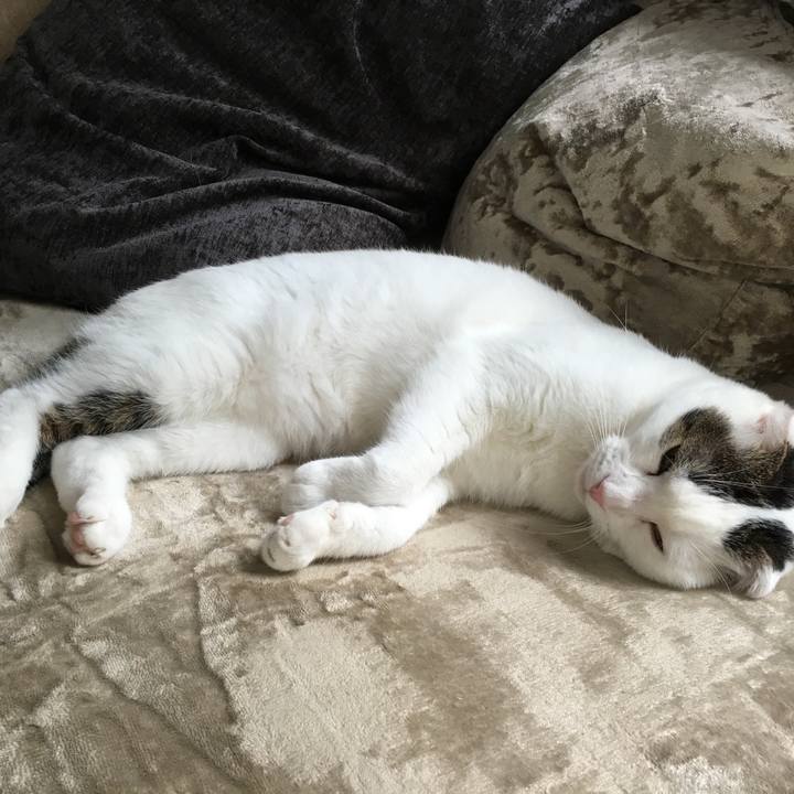 14b6052b fc1a 4295 85a5 8ab456d1ecc5