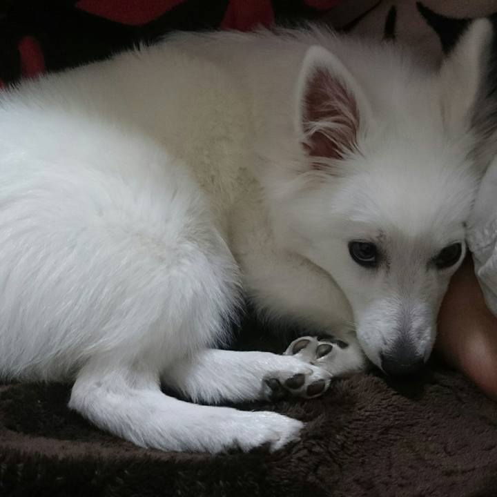 14b6b793 6c0f 437e 8dca a8a2faec3f4f