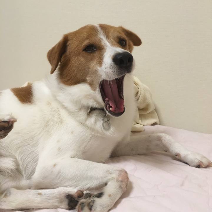 14b6dd9e b341 4c77 bb64 ff925a057ee8