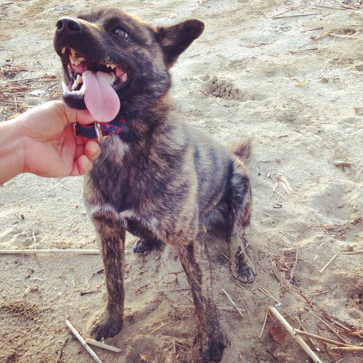 14b71716 49a4 4878 9fee 4039374e0aa9