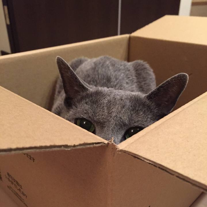 14b72e4c c987 441e 9781 02a829ae9445