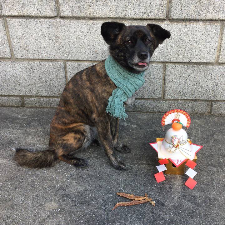 14b7937a 09ab 4be8 a33f 64deb2d554d4