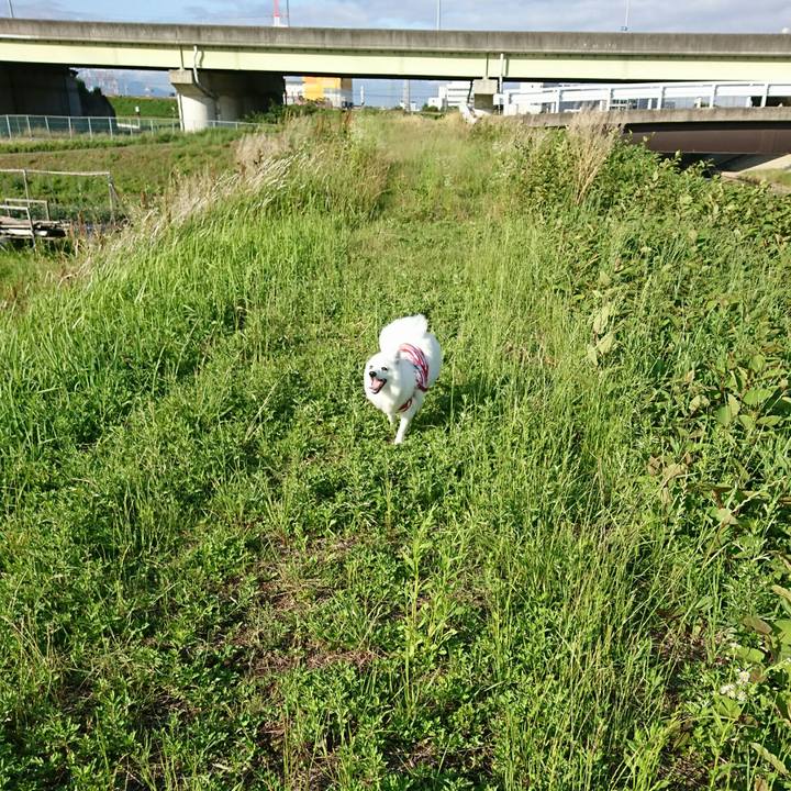 14b7b563 d4bb 49c8 a48a 99dccc37c0c2