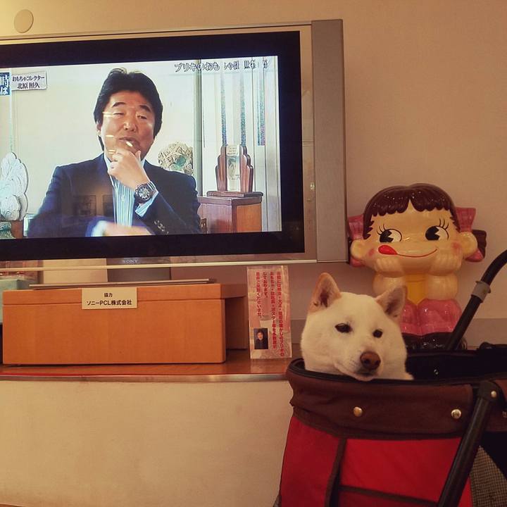 14b9606e 364d 449b b7c6 4479f25c72c7