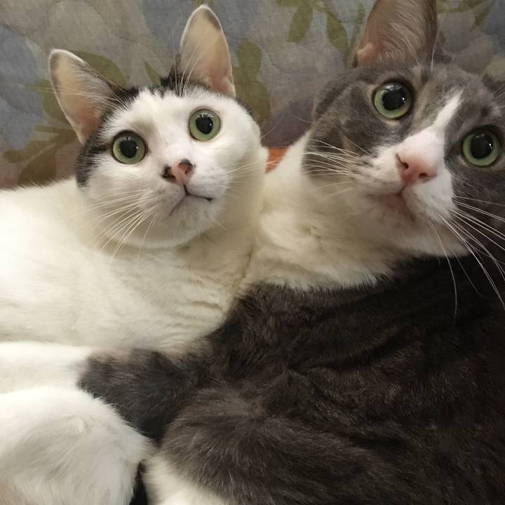 14ba1d81 6150 4171 af65 77f72d72643b