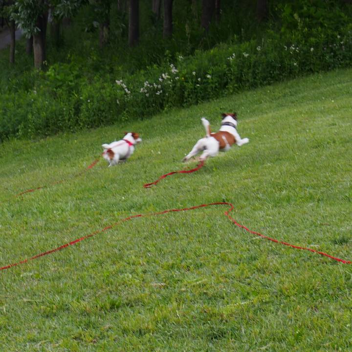 14baa258 cdd5 474f bfc4 e34c9716c134