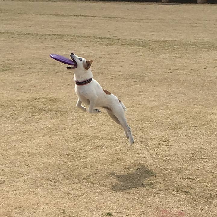 14bada39 f58f 4b2b 9993 6c6678e8664a