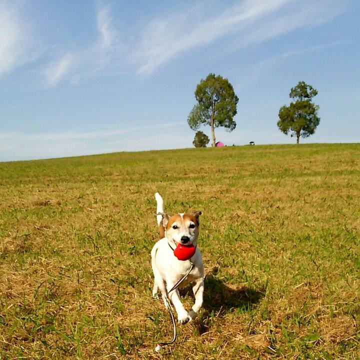 14bc636d 798e 4b3d 85dd 34adace6a1ce