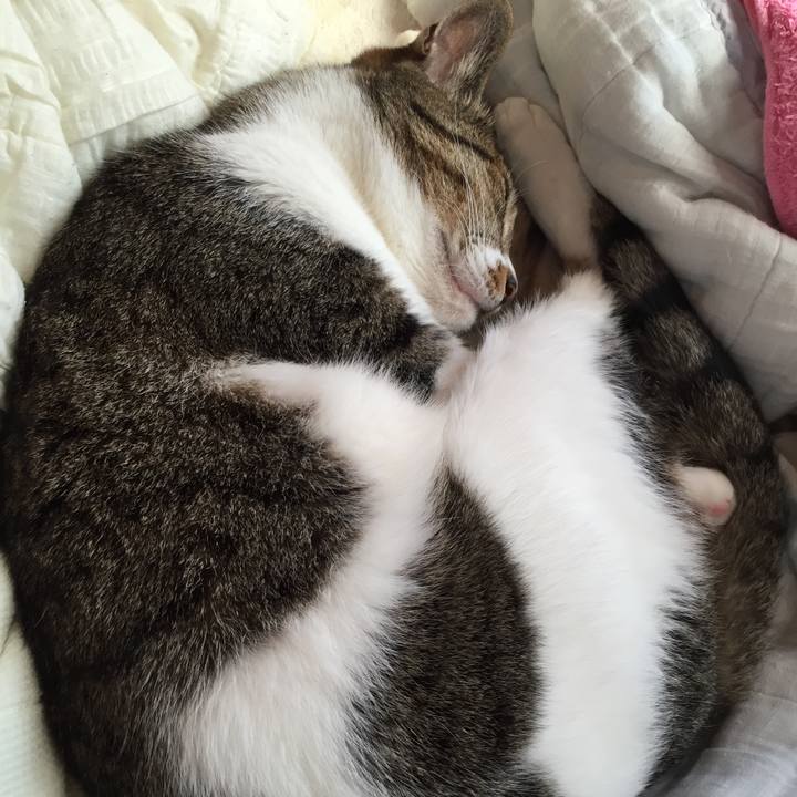 14bd14f3 f7dc 4f60 9f72 75ced3866992