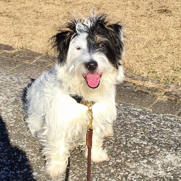 14bd2109 0b1b 4f70 a271 a428c352ffcf