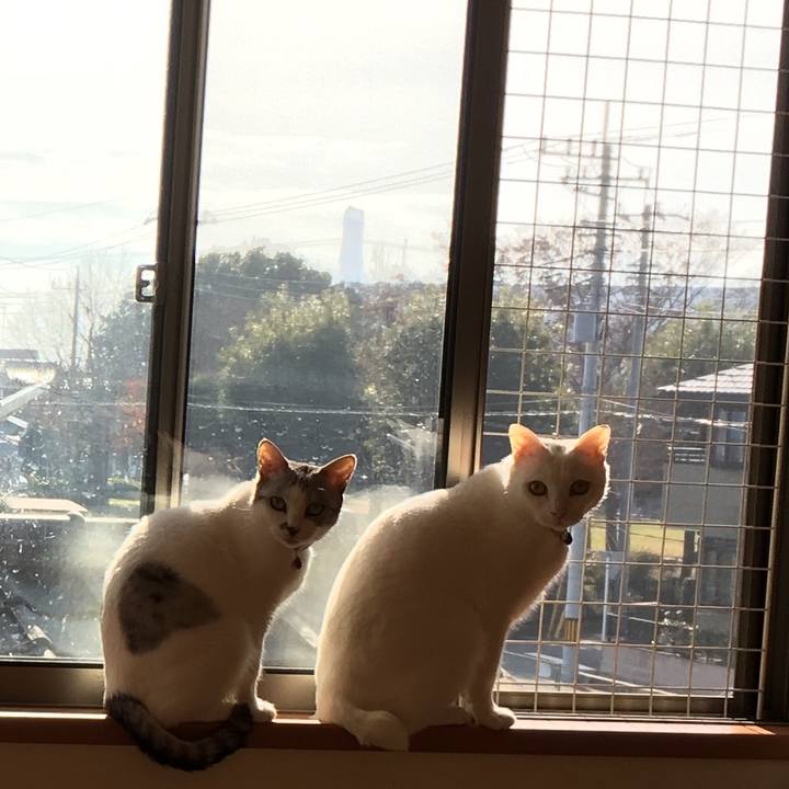 14bd2f6e ca4d 43a7 afe3 663c3a0b311d