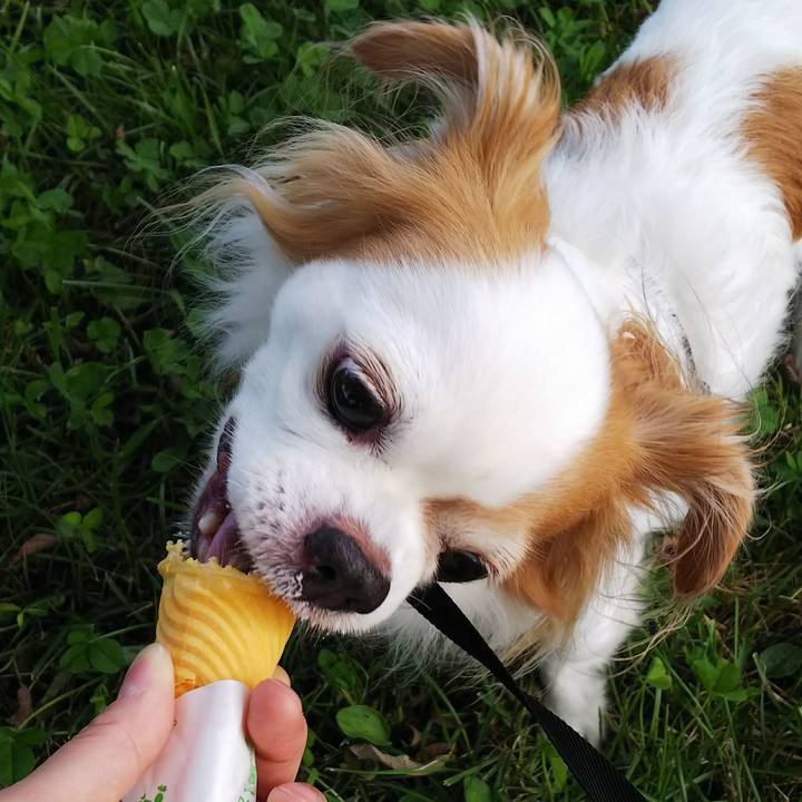 14bd3792 e40d 45fc 927e b026f85cb926