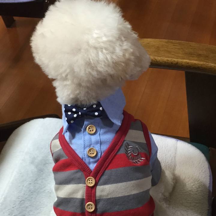 14be400f 714d 4aad 903a ed6bd898133f