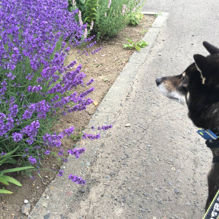 14be979c b252 4b2e a06f aeb3c8e75cfc