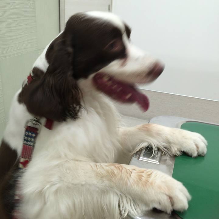 14bf84ca 4474 45bb 8709 ba7bade4fa8a