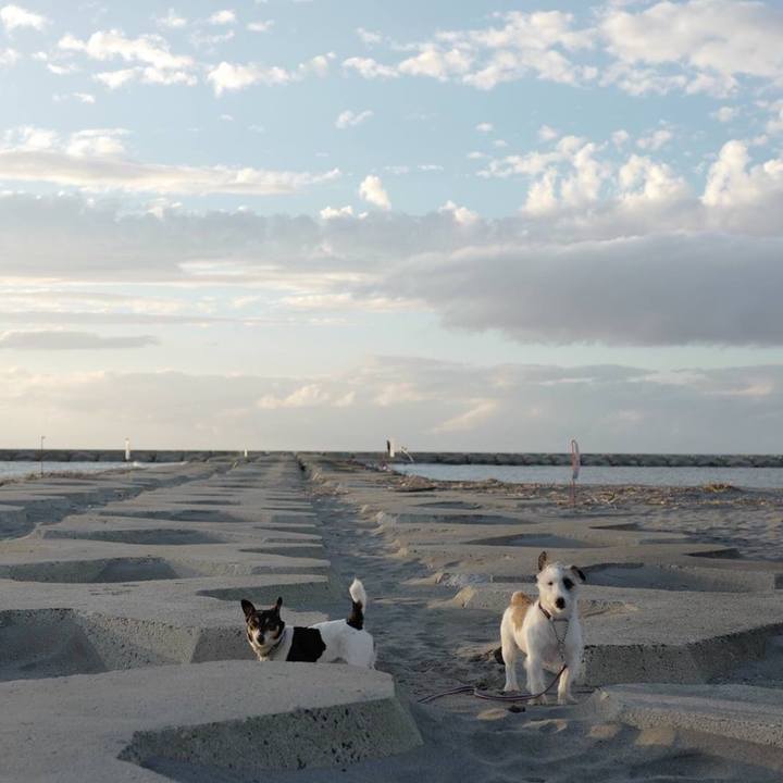 14bfd1fe 7699 4b42 bb63 4bea821080b3